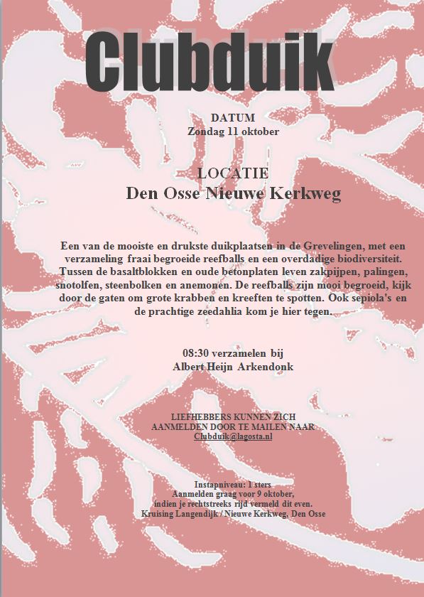 Den Osse Nieuwe Kerkweg 11-10-15
